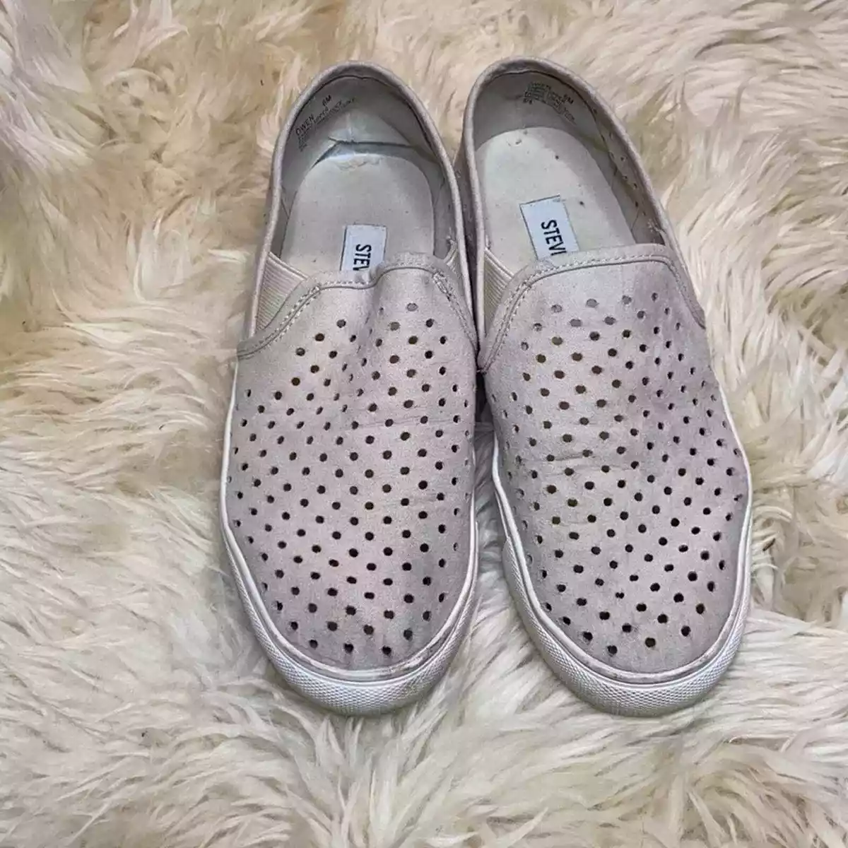 Steve madden owen shop slip on sneaker