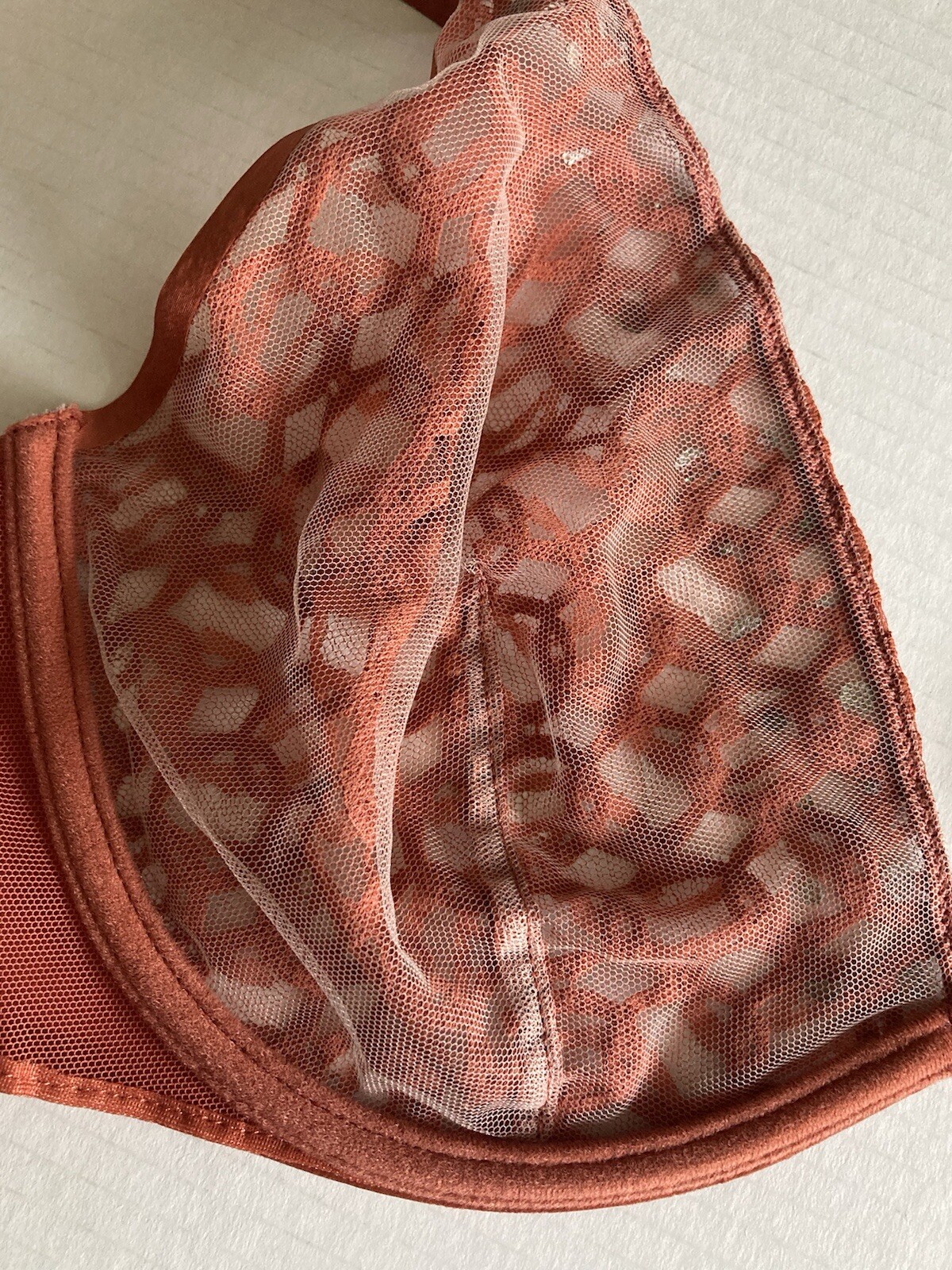Picture 7 of 14