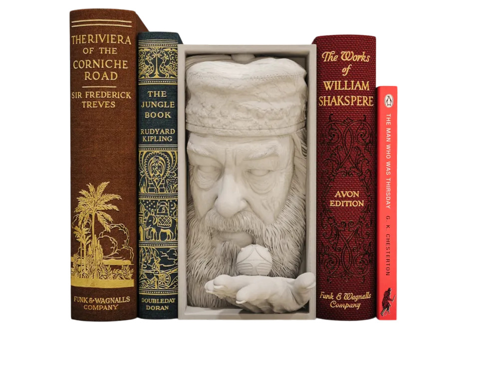 Book Nook Dumbledore Harry Potter, le cadeau idéal pour les fans de sorcellerie