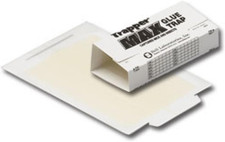 Glue Traps 12 Glue Boards Trap Mouse Bugs Insects Bed Bugs Spiders Cockroaches N