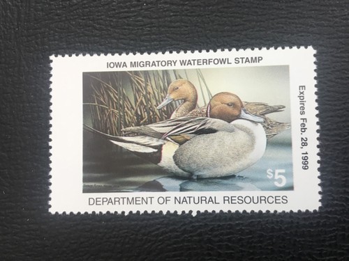 Collectzone USA Iowa 1998 Entenjagd Briefmarke ss NH IO27