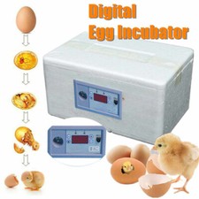 Household Small Waterbed Incubator Automatic Intelligent Temperature Control