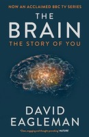 David Eagleman - Brain The Story Of You - Paperback - G245Z