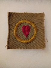 PERSONAL HEALTH Square Boy Scout MERIT BADGE