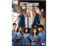 Grey  s Anatomy season 19 4DISC