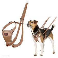 Halti No Pull Geschirr für Hunde - Erziehungsgeschirr Desert Sand 