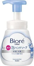 Kao Biore U Foam Hand Soap Pump 240ml B0CMPRL1F5