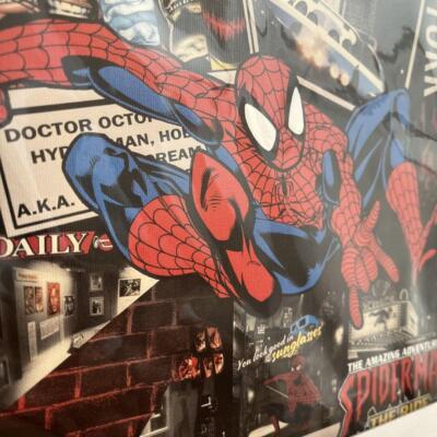 Limited Edition Universal Studios Japan Spider-Man Art Panel