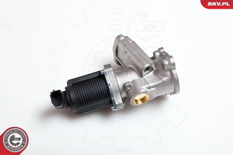 2x ✅Fits SKV GERMANY 14SKV014 EGR VALVE  ⭐UK Seller⭐