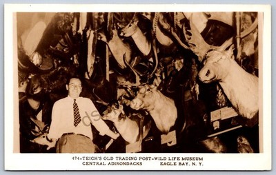 K50/ Eagle Bay New York RPPC Postcard 40s Teich's Trading Post Taxidermy 92