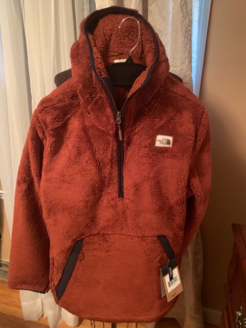 The North Face Men S Campshire Pullover Hoodie Green Orange Tan L For Sale Online Ebay
