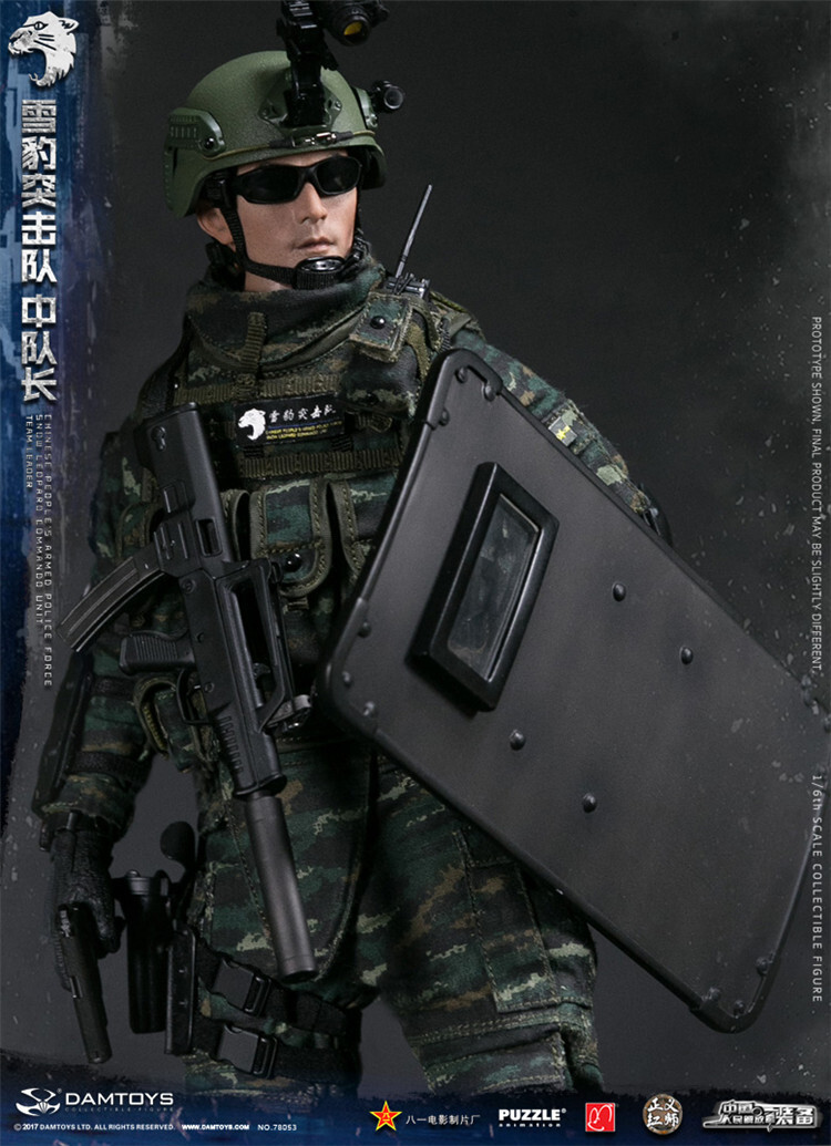 DAMTOYS 78053 1/6 Chinese People's Armed Forces Snow Leopard