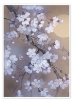 Poster Zweig Voller KirschblüTen - Haruyo Morita