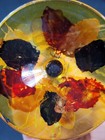 Bild 8 von 13