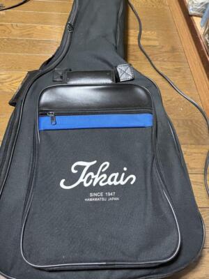 【10302】 GrassRoots G-NH-70 nightmare 柩 GrassRoots G-NH-70 Nightmare Hitsugi Model Electric Guitar