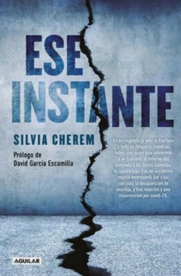 Ese Instante SILVIA CHEREM Mexican Spanish Book
