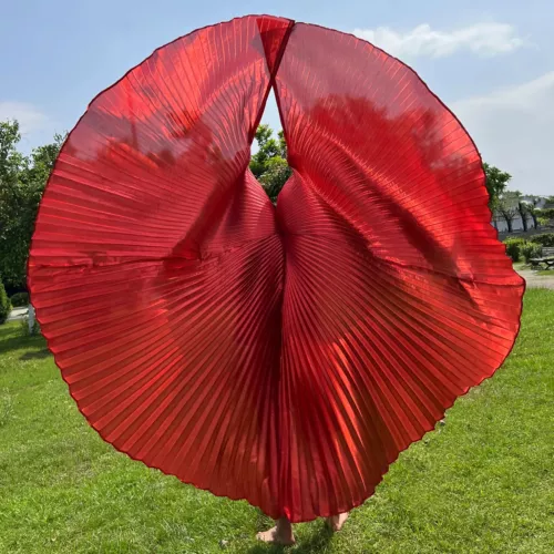 Transparent Belly Dance Wings Stage Performance Dancing Props - Picture 40 of 42