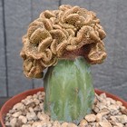 Foto 15 di 24