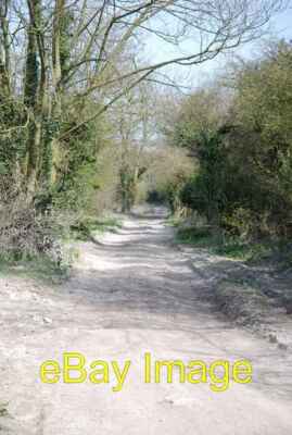 Photo 6x4 The Ox Drove leaving Bridmore Belt Berwick St John  c2007