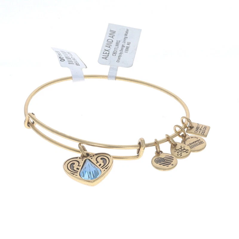 Alex and ani anklet hotsell adjustment