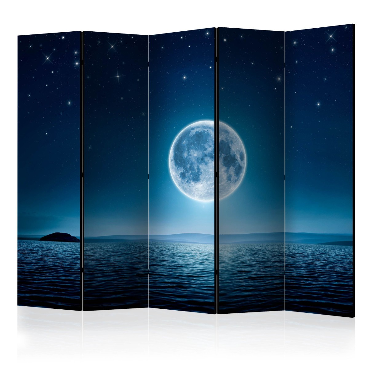 Paravent 5 volets Moonlit Night 172x225cm en toile imprimée