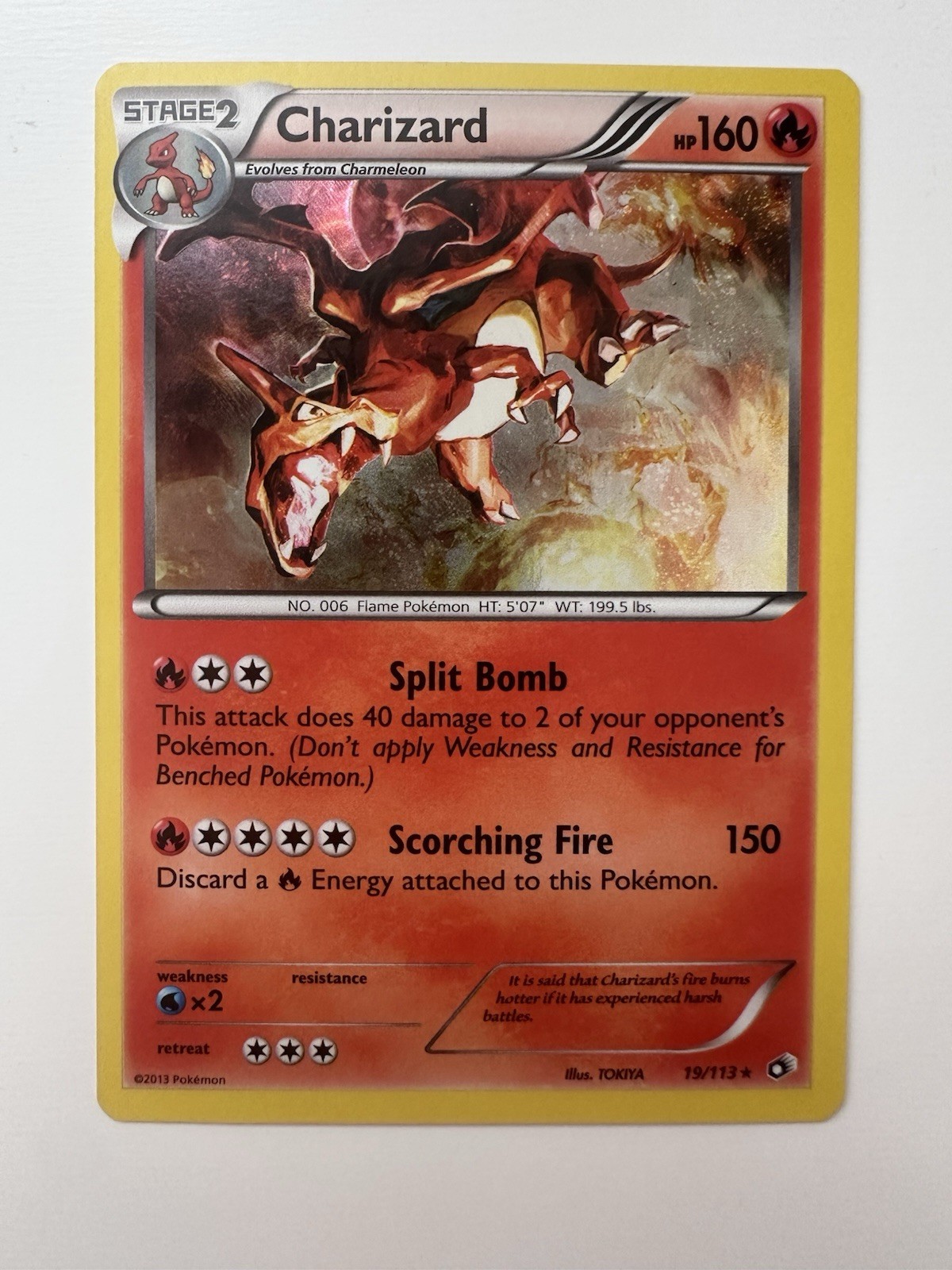 Charizard 19/113 | Legendary Treasures LTR | Holo Rare | NM ✨