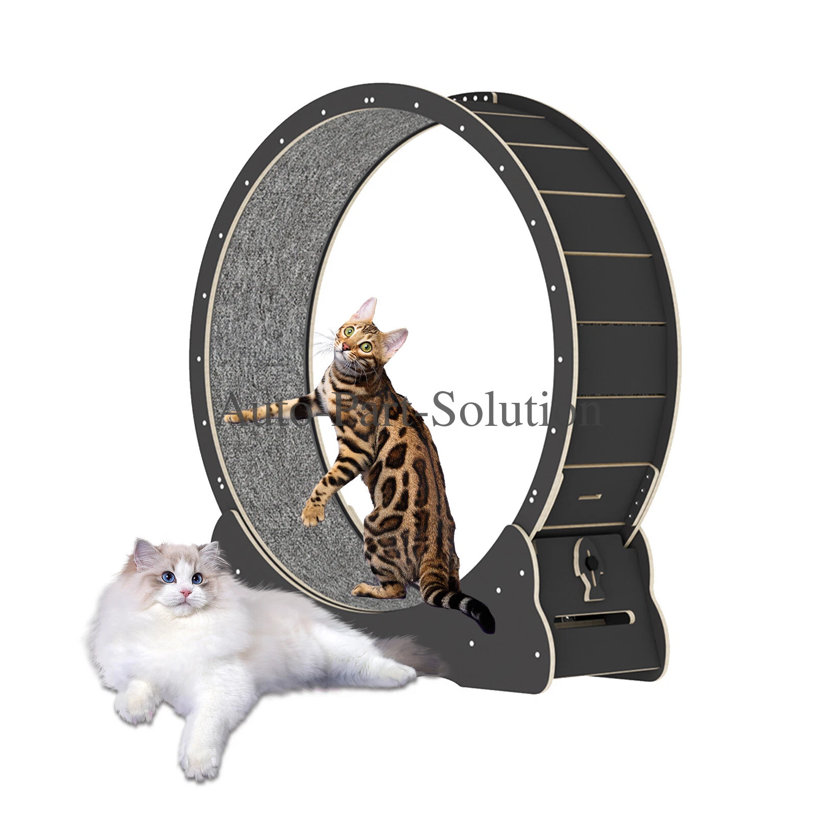 Black Cat Running Wheel for Indoor Cat Sport Treadmill Wheel for Kitty