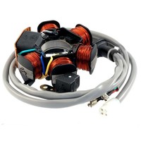 Originaler Stator Piaggio FüR Gilera Easy Moving 50 1995 1996