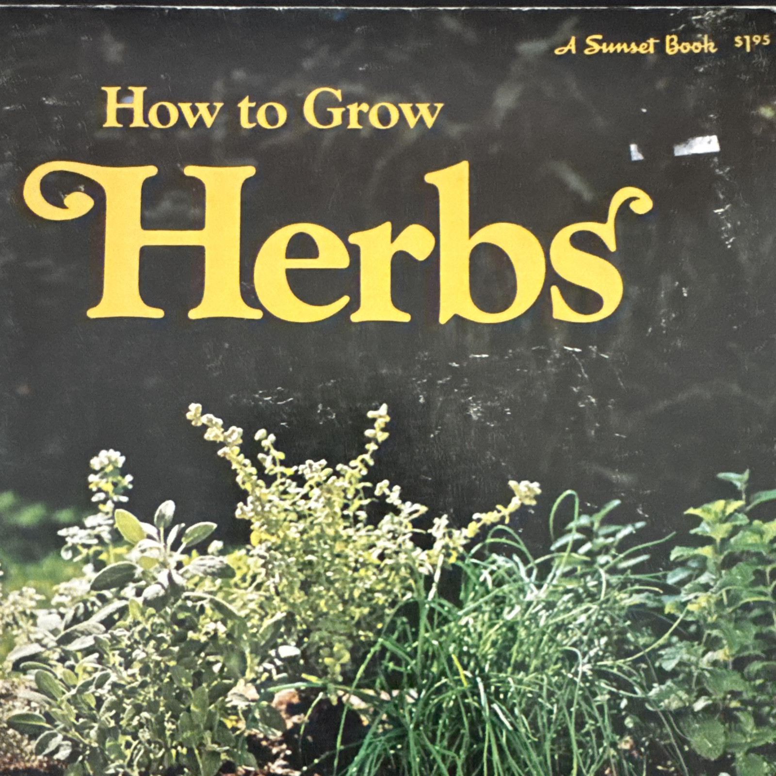 Herbs : How to Grow Sunset Publishing Staff (1973 Paperback)