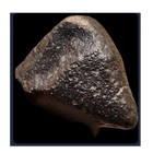NWA Chondrite Large Dark Meteorite Specimen Specimen, 1029g — photo 1