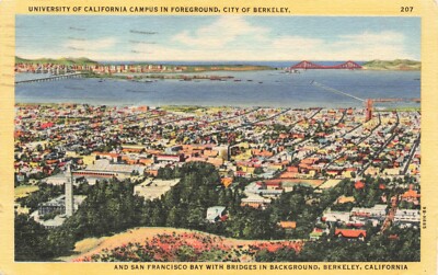 Postcard CA San Francisco University of California Berkeley Golden Gate Bridge