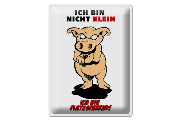 Blechschild Spruch 30X40 Cm Bin Nicht Klein Bin Platzsparend Deko Schild-image