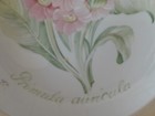 Bild 10 von 11