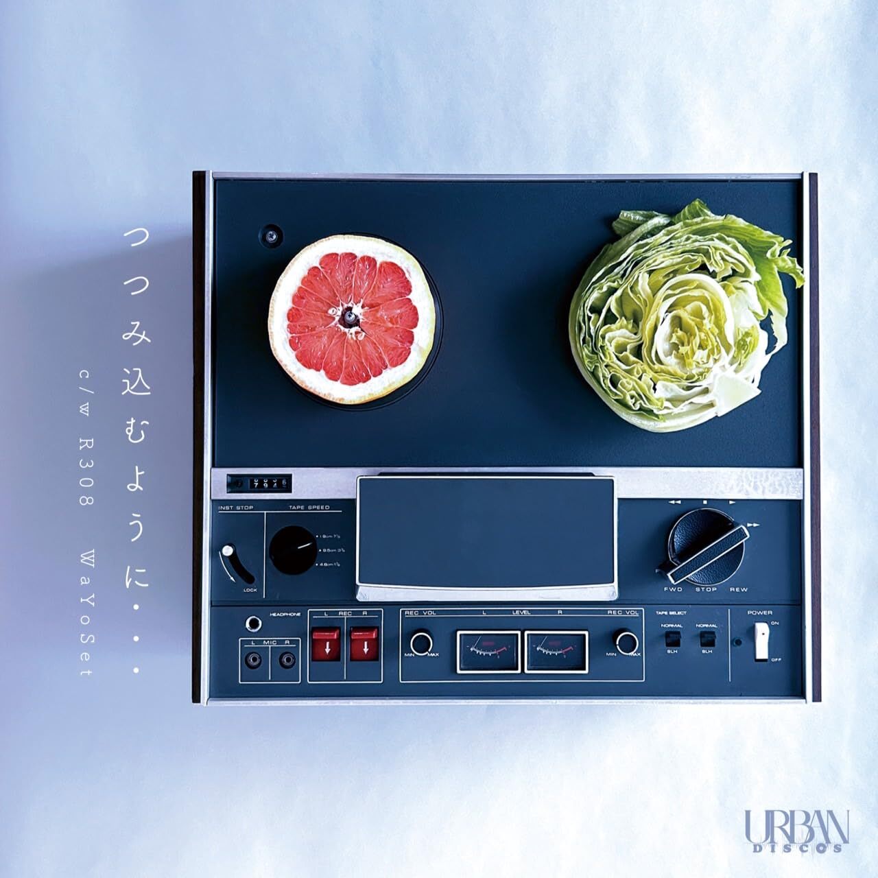 Wa Yo Set Tsutsumikomu Youni / R308 (Vinyl)