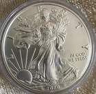 2009 American Silver Eagle 1 oz Dollar Coin Uncirculated Flawless Gem Beautiful