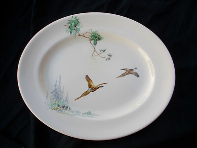 Royal Doulton THE COPPICE ovale Fleischschale. Durchmesser 13 x 101/4 Zoll.
