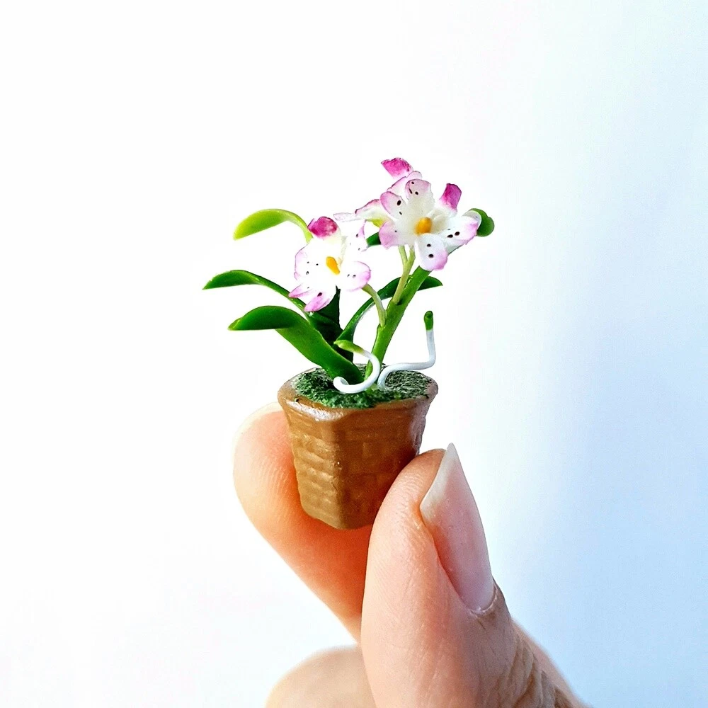 12+ Asian Plant Pots - AshimAselemo