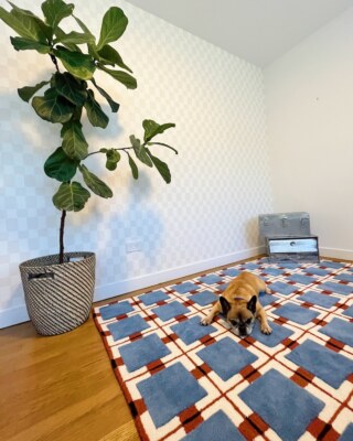 Hand Tufted Rug Evelina Kroon Ochre Fields Wool Rug Woolen Large Area Multicolor