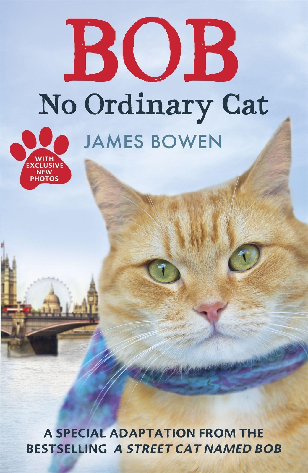 Thumbnail - Bob - No Ordinary Cat, James Bowen