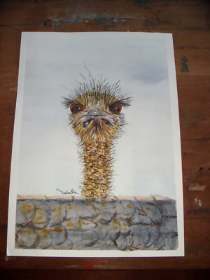 Original signiertes Kunstwerk & Zertifikat Aquarell OOAK Emu Strauß A4