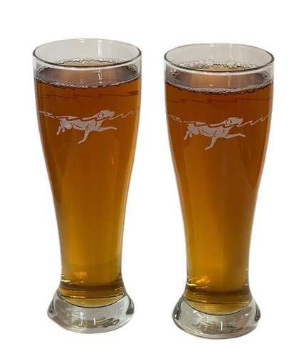 Labrador Dog Pilsner Beer Drinking Glass Etched Design 8-1/4" Hunting Swimming  - Picture 1 of 3