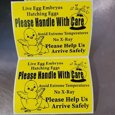 50 Large 4" x 3" Handle with care Hatching Eggs No Arrow Mailing Shipping Label