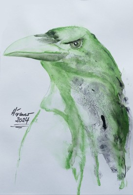 Grüner Rabe 129 - Tuschezeichnung, Tinte, Ink, original, signiert, HIRMER 2024