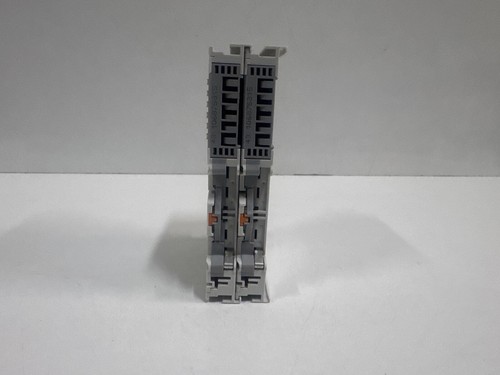 Lotto 2 Pezzi Wago 750-466 Ingresso Analogico 2 Canali 4-20 Ma - Foto 7 di 7