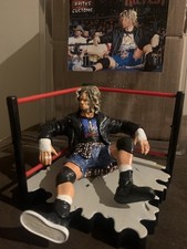 RAVEN WCW Custom Posed Action Figure. ECW WCW...