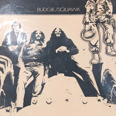 Budgie Squawk 12'' Black Vinyl LP Record MCA Records Rock Genre 12 Inch