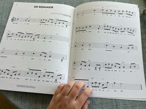 Frozen Recorder Fun! Pack Songbook and Instrument Flute - Picture 5 of 12