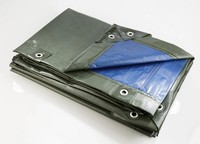 Abdeckplane 3X4M GrüN/Blau 250G/M² Wasserdicht