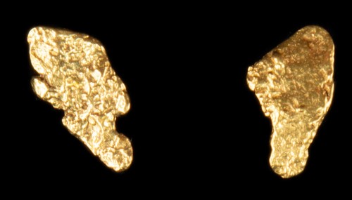 Gold Nugget Earrings Pair Post Natural Alaska California .58gr 9.5mm x 5.0mm