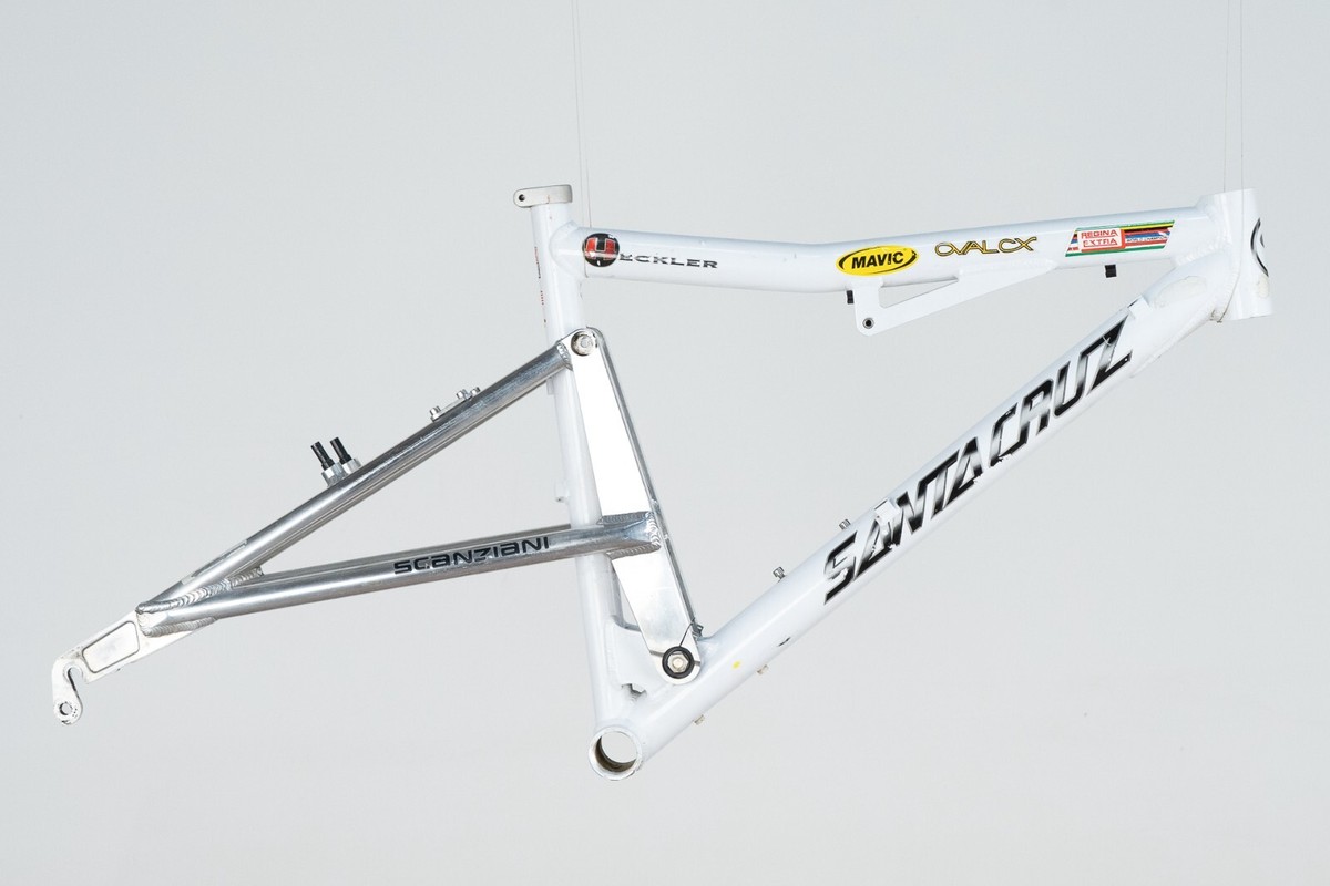 SANTA CRUZ サンタクルズHECKLERフレーム made in USA SANTA CRUX